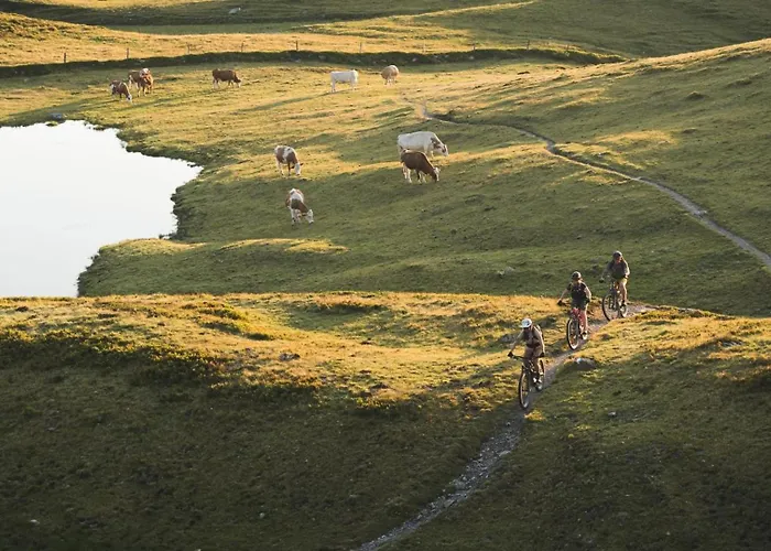 شاليه Felix By We Rent, Jokercard Included